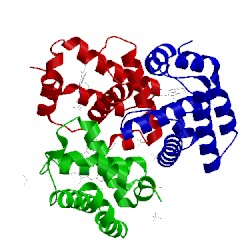 Image of CATH 4max