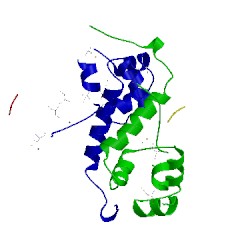 Image of CATH 4mct