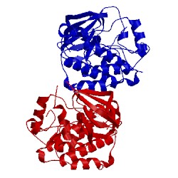 Image of CATH 4mcv