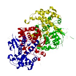 Image of CATH 4mdc