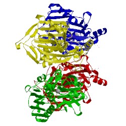 Image of CATH 4mdt