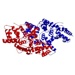 Image of CATH 4mdu