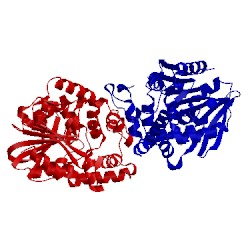 Image of CATH 4meb