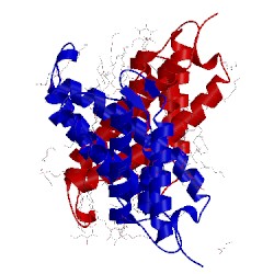 Image of CATH 4mes