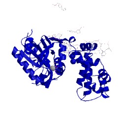 Image of CATH 4mfc