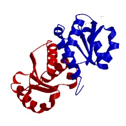 Image of CATH 4mge