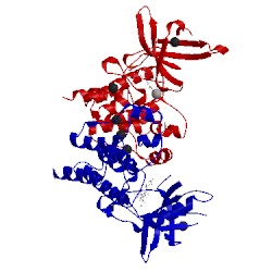 Image of CATH 4mha