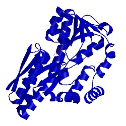 Image of CATH 4mhf