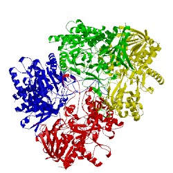 Image of CATH 4mif