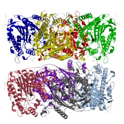 Image of CATH 4miv