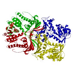 Image of CATH 4miy