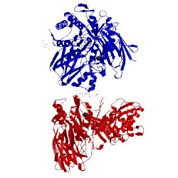 Image of CATH 4mj2