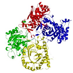 Image of CATH 4mjm