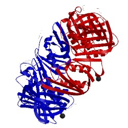 Image of CATH 4mjr