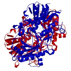 Image of CATH 4mjw