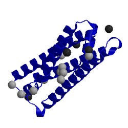 Image of CATH 4mjy