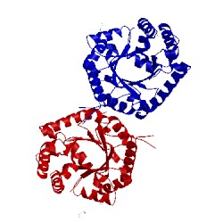 Image of CATH 4mjz