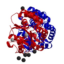 Image of CATH 4mkf