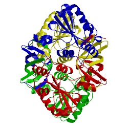 Image of CATH 4ml6