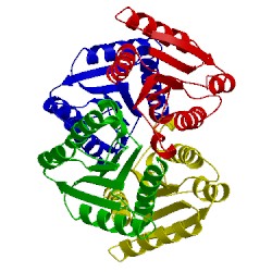 Image of CATH 4mld