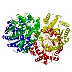 Image of CATH 4mlj