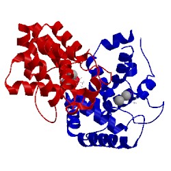 Image of CATH 4mln