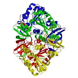 Image of CATH 4mly