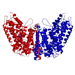 Image of CATH 4mmd