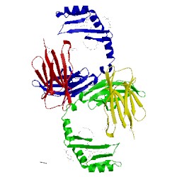 Image of CATH 4mng