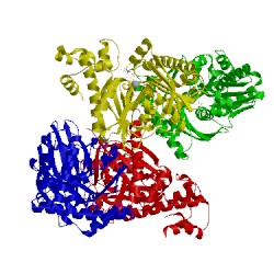 Image of CATH 4mo5