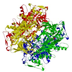 Image of CATH 4mop