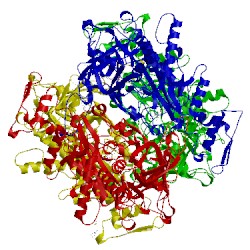 Image of CATH 4mor