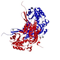 Image of CATH 4mpb