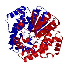 Image of CATH 4mpg