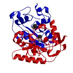 Image of CATH 4mph