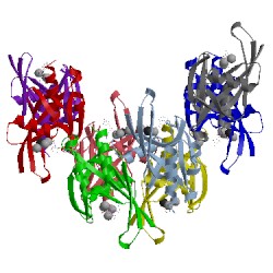 Image of CATH 4mpo