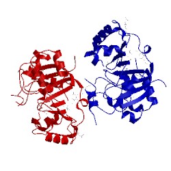 Image of CATH 4mps