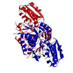Image of CATH 4mpt