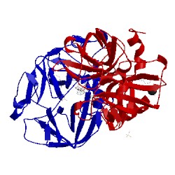 Image of CATH 4mpv