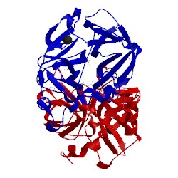 Image of CATH 4mpw