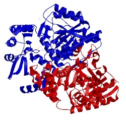 Image of CATH 4mqp