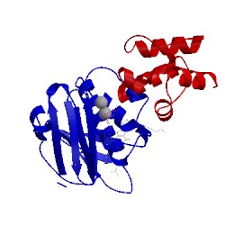 Image of CATH 4mrt