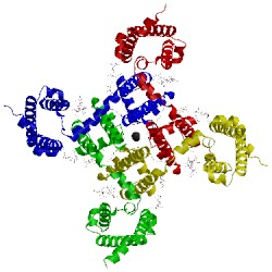 Image of CATH 4ms2