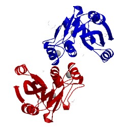 Image of CATH 4msd