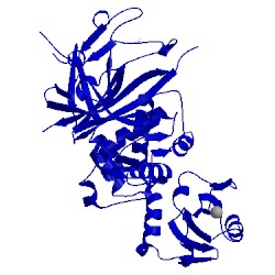 Image of CATH 4msx