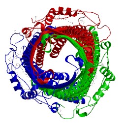 Image of CATH 4mt4