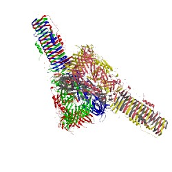 Image of CATH 4mtk