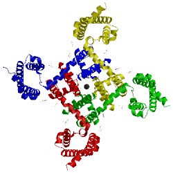 Image of CATH 4mto