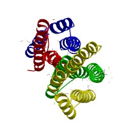 Image of CATH 4mtx