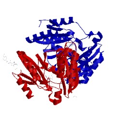 Image of CATH 4mui
